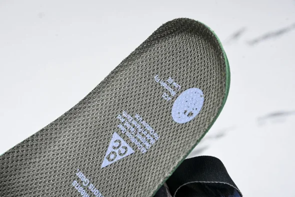 Nike ACG Mountain Fly Low GTX SE DQ1979 001 