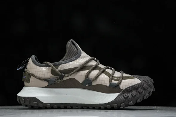 Nike ACG Mountain Fly Low GTX SE DQ1979 001 