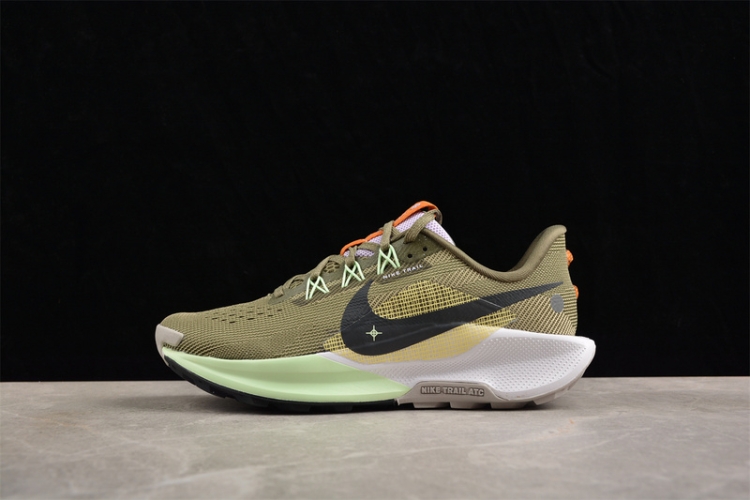 Nike Pegasus Trail 5 DV3864-200