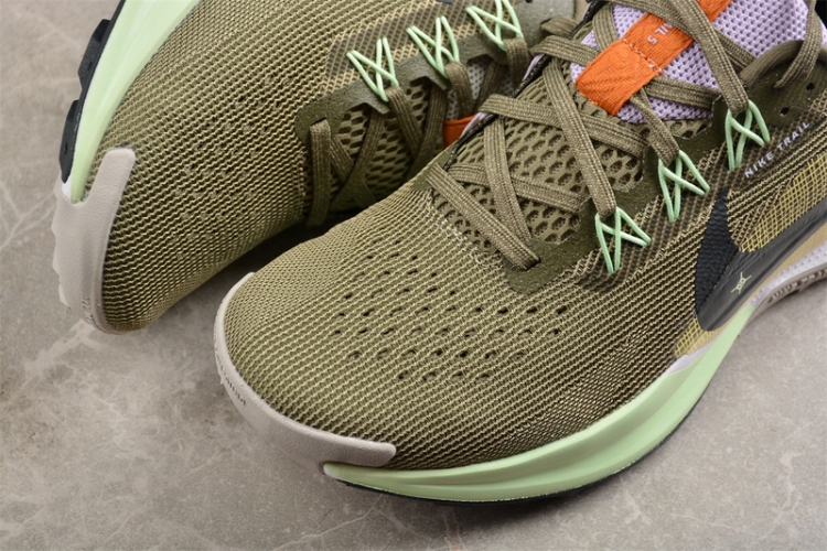  Nike Pegasus Trail 5 DV3864-200