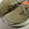 Nike Pegasus Trail 5 DV3864-200