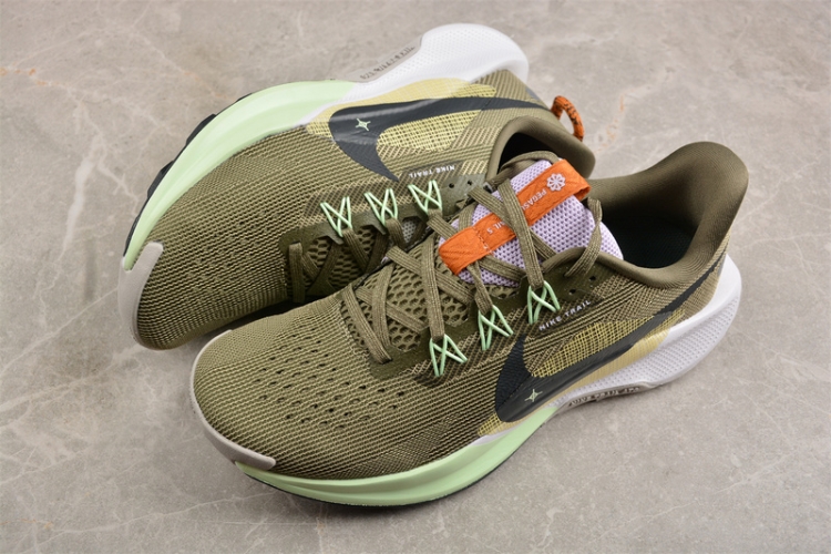 Nike Pegasus Trail 5 DV3864-200