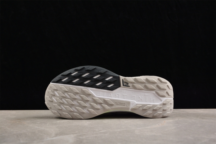 Nike Pegasus Trail 5 DV3864-200
