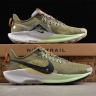 Nike Pegasus Trail 5 DV3864-200