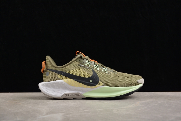  Nike Pegasus Trail 5 DV3864-200
