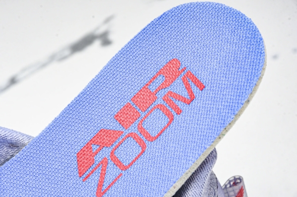 Nike Air Zoom Pegasus Premium HQ2592-004 