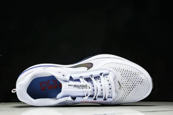 Nike Air Zoom Pegasus Premium HQ2592-004 