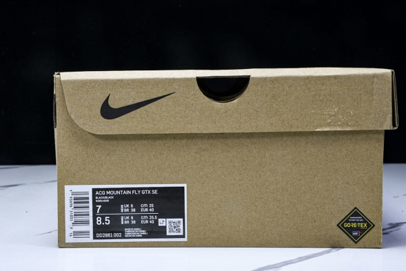 Nike ACG Mountain Fly Low GTX SE DD2861 002 