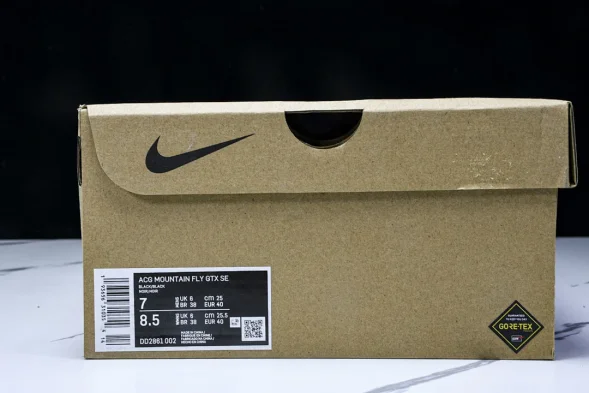 Nike ACG Mountain Fly Low GTX SE DD2861 002 