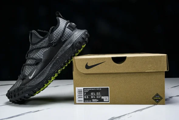 Nike ACG Mountain Fly Low GTX SE DD2861 002 