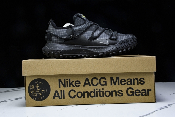 Nike ACG Mountain Fly Low GTX SE DD2861 002 
