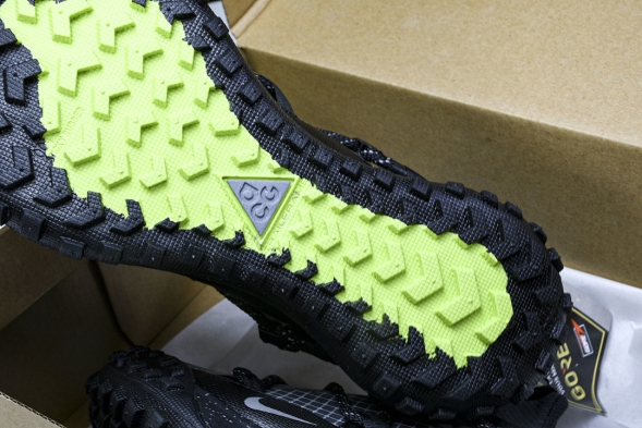 Nike ACG Mountain Fly Low GTX SE DD2861 002 