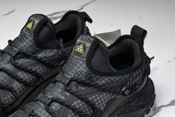 Nike ACG Mountain Fly Low GTX SE DD2861 002 