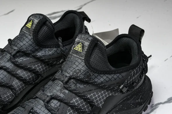 Nike ACG Mountain Fly Low GTX SE DD2861 002 