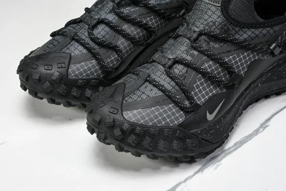 Nike ACG Mountain Fly Low GTX SE DD2861 002 