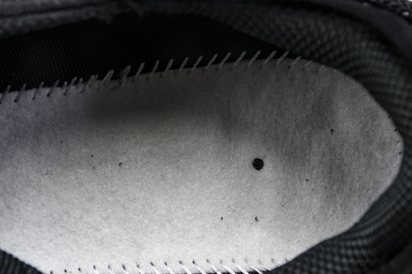 Nike ACG Mountain Fly Low GTX SE DD2861 002 