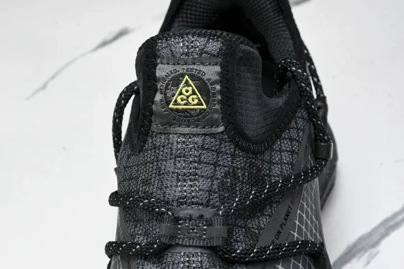 Nike ACG Mountain Fly Low GTX SE DD2861 002 