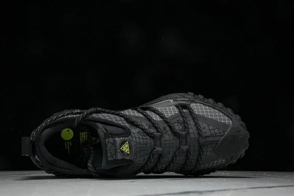 Nike ACG Mountain Fly Low GTX SE DD2861 002 