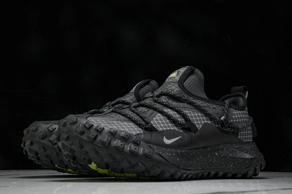 Nike ACG Mountain Fly Low GTX SE DD2861 002 