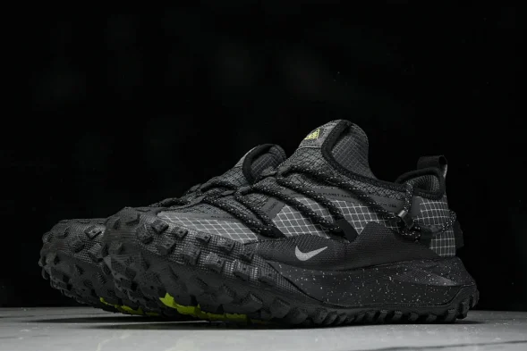 Nike ACG Mountain Fly Low GTX SE DD2861 002 