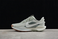 Nike Pegasus Trail 5 DV3864-304