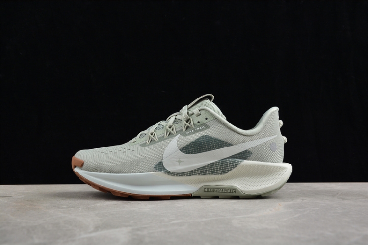  Nike Pegasus Trail 5 DV3864-304