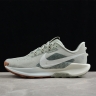 Nike Pegasus Trail 5 DV3864-304