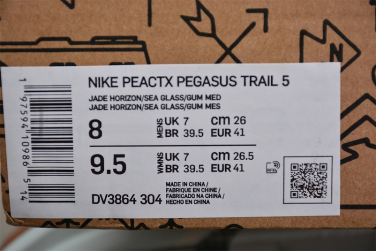  Nike Pegasus Trail 5 DV3864-304