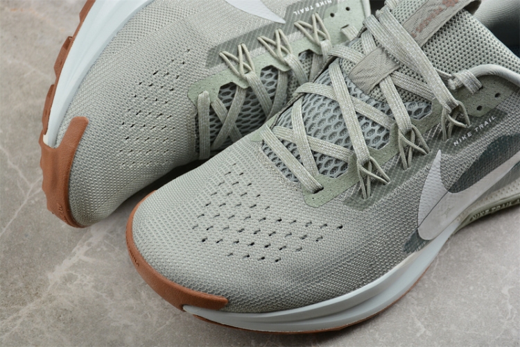  Nike Pegasus Trail 5 DV3864-304