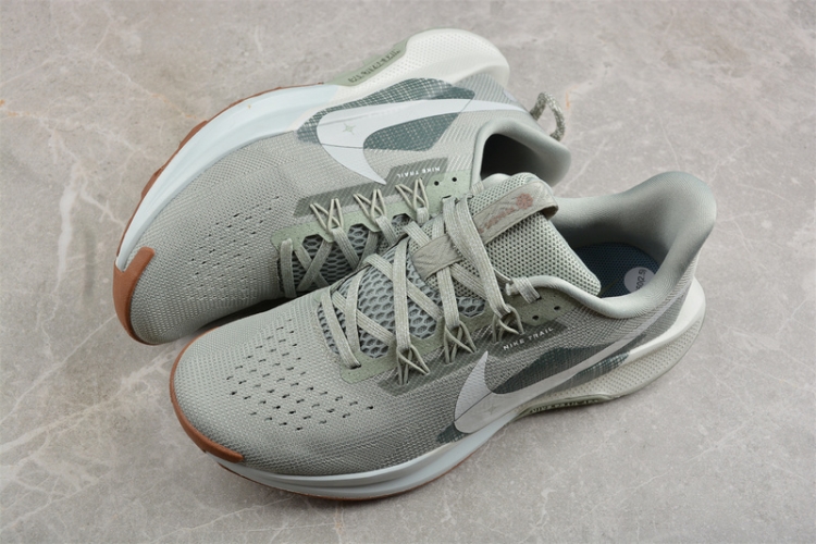 Nike Pegasus Trail 5 DV3864-304