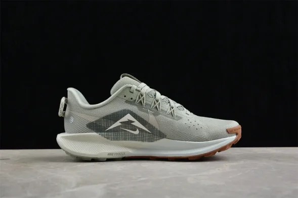 Nike Pegasus Trail 5 DV3864-304 