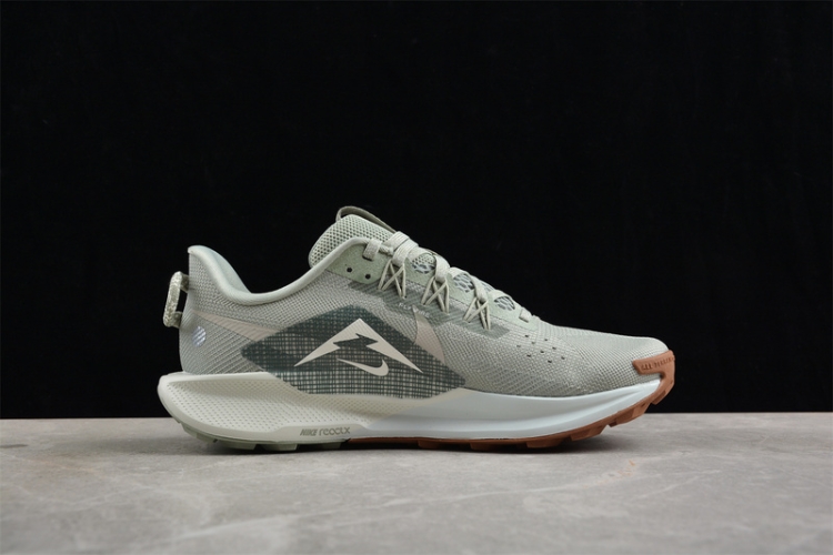  Nike Pegasus Trail 5 DV3864-304