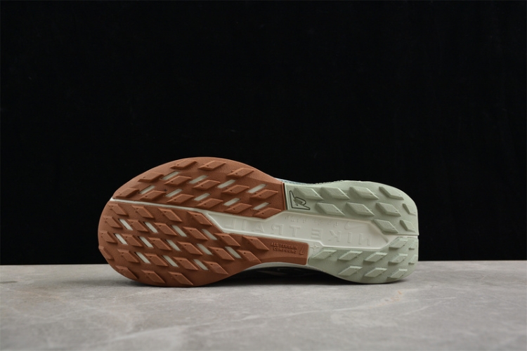  Nike Pegasus Trail 5 DV3864-304