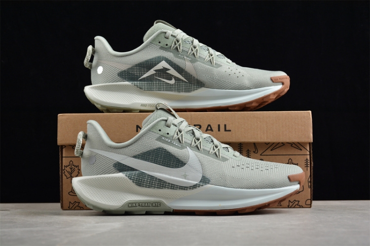  Nike Pegasus Trail 5 DV3864-304