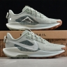 Nike Pegasus Trail 5 DV3864-304