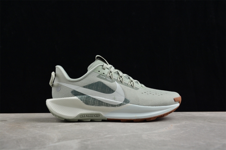 Nike Pegasus Trail 5 DV3864-304