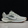 Nike Pegasus Trail 5 DV3864-304