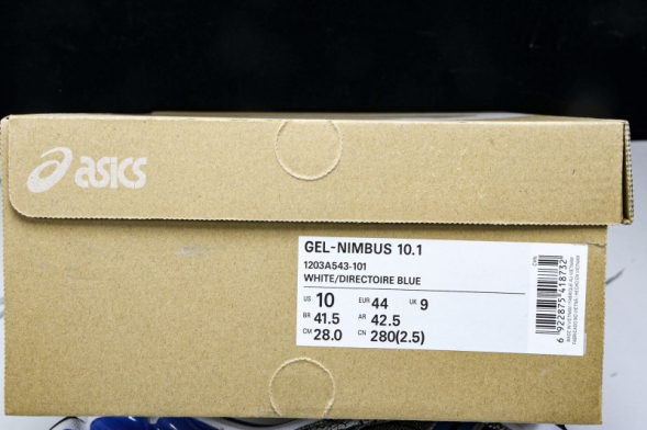 Asics Gel-Nimbus 10.1 1203A543-101 