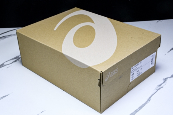 Asics Gel-Nimbus 10.1 1203A543-101 