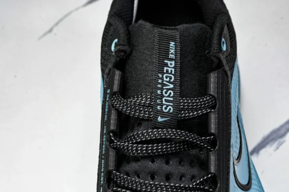 Nike Air Zoom Pegasus Premium HQ2592-006 