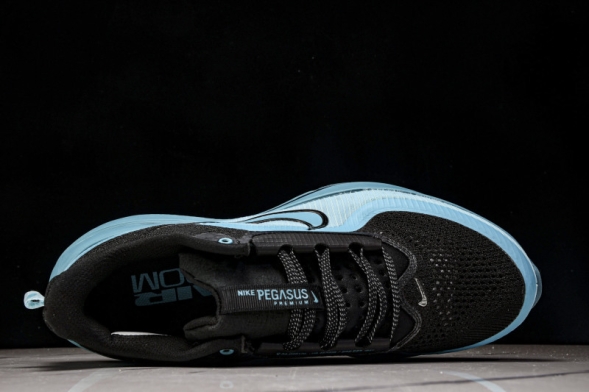 Nike Air Zoom Pegasus Premium HQ2592-006 
