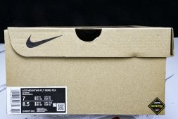 Nike ACG Mountain Fly Low GTX SE DX6675 001
