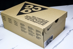 Nike ACG Mountain Fly Low GTX SE DX6675 001