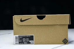 Nike ACG Mountain Fly Low GTX SE DX6675 001