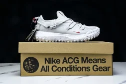 Nike ACG Mountain Fly Low GTX SE DX6675 001