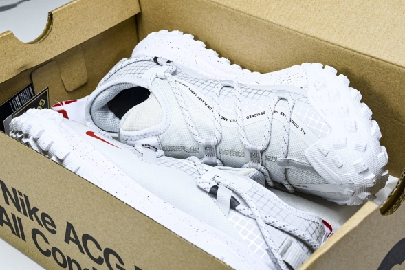 Nike ACG Mountain Fly Low GTX SE DX6675 001 