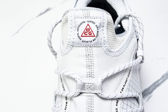 Nike ACG Mountain Fly Low GTX SE DX6675 001 