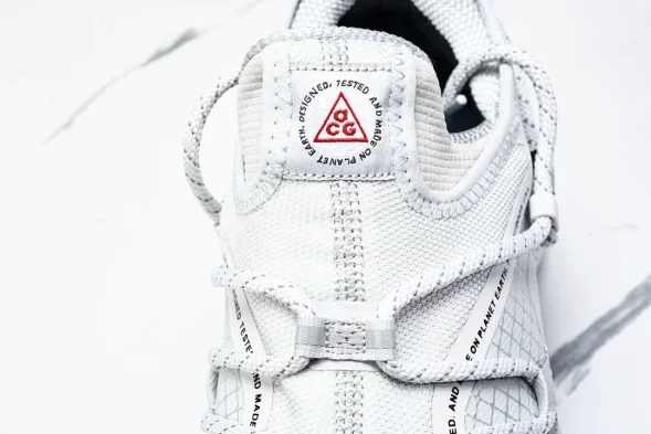 Nike ACG Mountain Fly Low GTX SE DX6675 001 