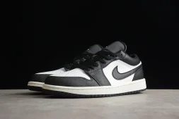 Nike Air Jordan 1 low DO8244-003 