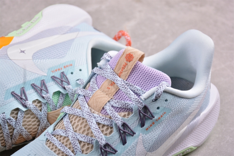  Nike Pegasus Trail 5 DV3865-402